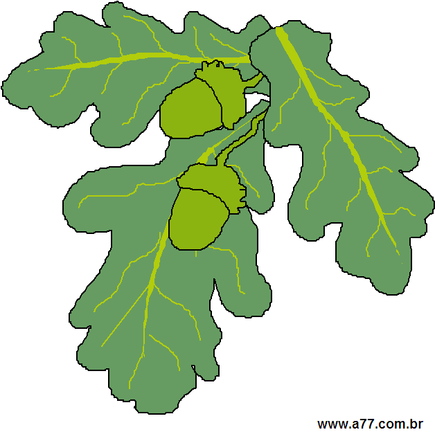 Clipart Natureza