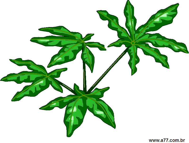 Clipart Natureza