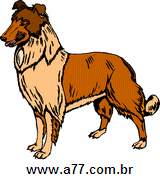 Clipart Animais
