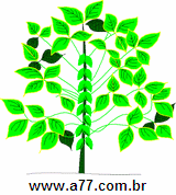 Clipart Natureza