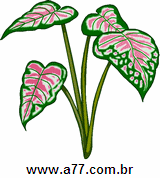 Clipart Natureza