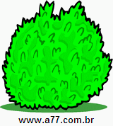 Clipart Natureza