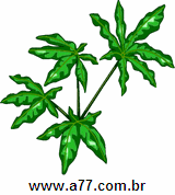 Clipart Natureza