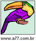 Tucano