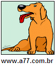 Cachorro
