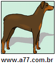 Doberman