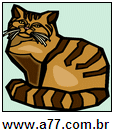 Gato