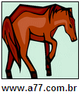 Cavalo