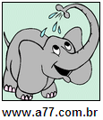 Animal Elefante