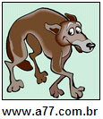 Cachorro