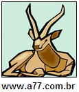 Dois