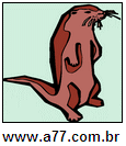 Marmota