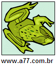 Imagem Invertida de Sapo