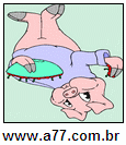 Imagem Invertida de Porco