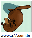 Imagem Invertida de Marrom