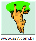 Imagem Invertida de Raposa