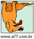 Imagem Invertida de Cachorro