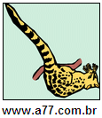 Imagem Invertida de Comprido
