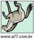 Imagem Invertida de Cavalo