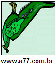 Imagem Invertida de Verde