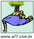 Imagem Invertida de Avestruz