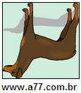Imagem Invertida de Doberman