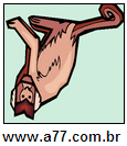 Imagem Invertida de Primatas