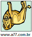 Imagem Invertida de Leão