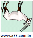 Imagem Invertida de Pontudos