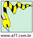 Imagem Invertida de Cobra