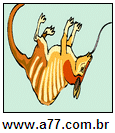 Imagem Invertida de Tamanduá
