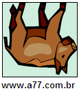 Imagem Invertida de Porco