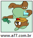 Imagem Invertida de Sapo