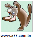 Imagem Invertida de Coelho