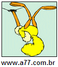 Imagem Invertida de Avestruz