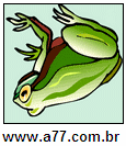 Imagem Invertida de Sapo