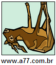 Imagem Invertida de Direita