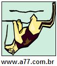 Imagem Invertida de Tamanduá