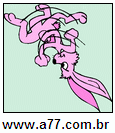 Imagem Invertida de Rosa
