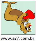 Imagem Invertida de Urso