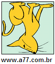 Imagem Invertida de Gato