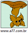 Imagem Invertida de Marrom