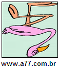Imagem Invertida de Flamingo