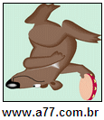 Imagem Invertida de Pandeiro
