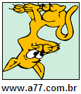 Imagem Invertida de Laranja