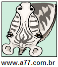 Imagem Invertida de Zebra