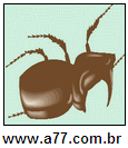 Imagem Invertida de Cinco