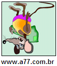 Imagem Invertida de Rato
