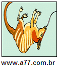 Imagem Invertida de Tamanduá