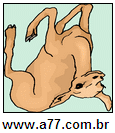 Imagem Invertida de Quatro